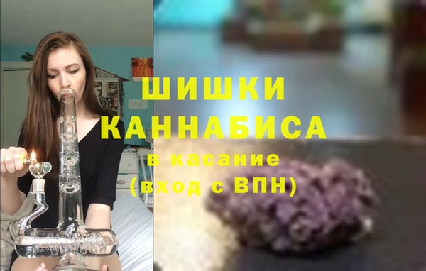 молекула духа Алзамай