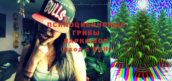 молекула духа Алзамай